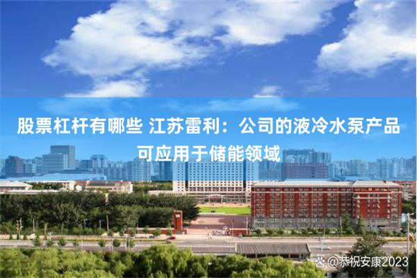 股票杠杆有哪些 江苏雷利：公司的液冷水泵产品可应用于储能领域