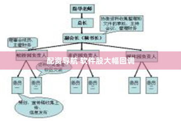 配资导航 软件股大幅回调