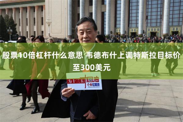 股票10倍杠杆什么意思 韦德布什上调特斯拉目标价至300美元