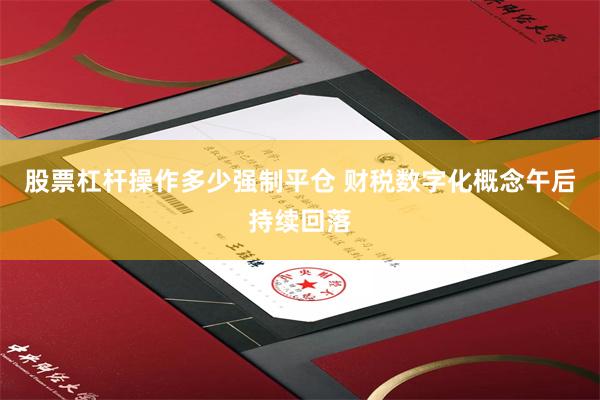 股票杠杆操作多少强制平仓 财税数字化概念午后持续回落