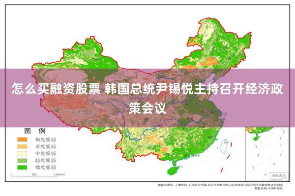 怎么买融资股票 韩国总统尹锡悦主持召开经济政策会议