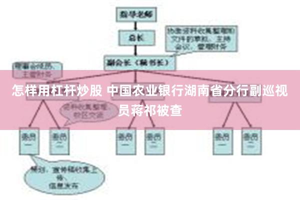 怎样用杠杆炒股 中国农业银行湖南省分行副巡视员蒋祁被查