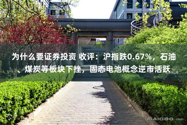 为什么要证券投资 收评：沪指跌0.67%，石油、煤炭等板块下挫，固态电池概念逆市活跃