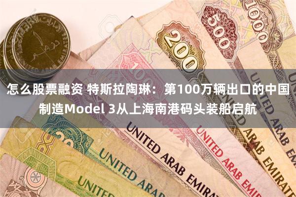 怎么股票融资 特斯拉陶琳：第100万辆出口的中国制造Model 3从上海南港码头装船启航