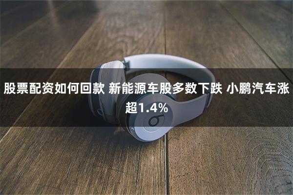 股票配资如何回款 新能源车股多数下跌 小鹏汽车涨超1.4%