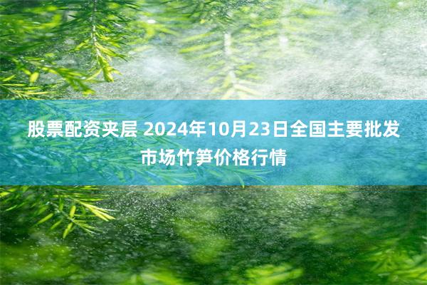 股票配资夹层 2024年10月23日全国主要批发市场竹笋价格行情