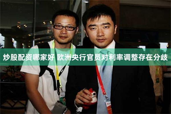 炒股配资哪家好 欧洲央行官员对利率调整存在分歧